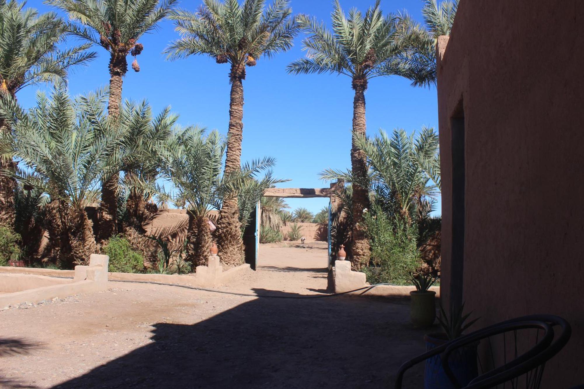 Kasbah Desert Camp M'Hamid Eksteriør bilde