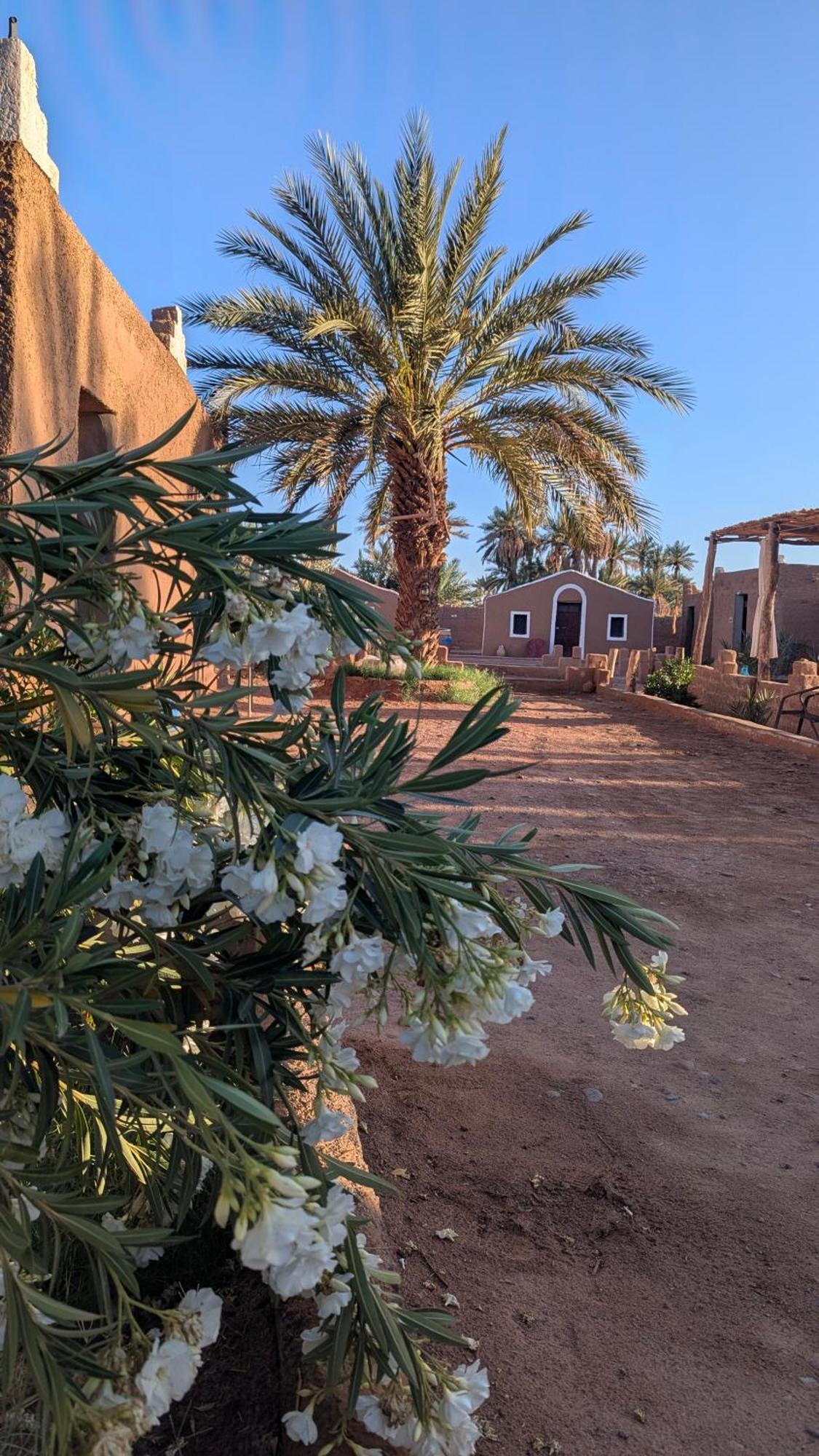 Kasbah Desert Camp M'Hamid Eksteriør bilde