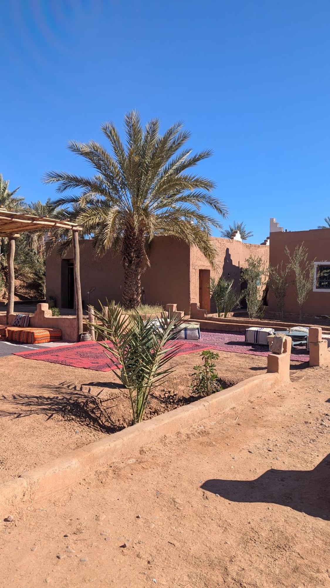 Kasbah Desert Camp M'Hamid Eksteriør bilde